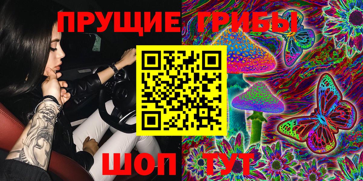 Псилоцибиновые грибы Psilocybine cubensis  Вход с VPN  Псилоцибиновые грибы прущие грибы  Балашов 