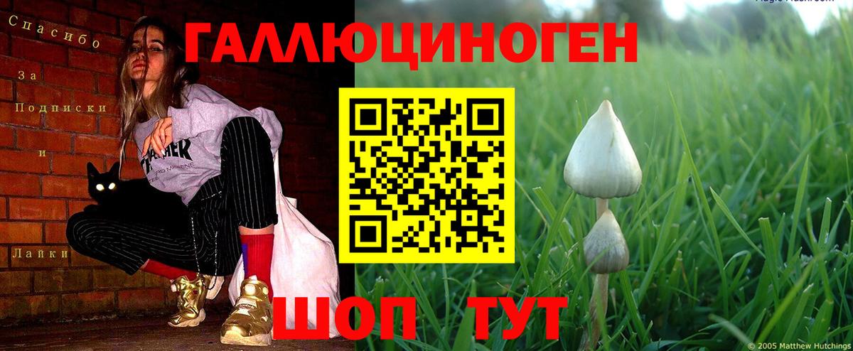 Галлюциногенные грибы Magic Shrooms Балашов